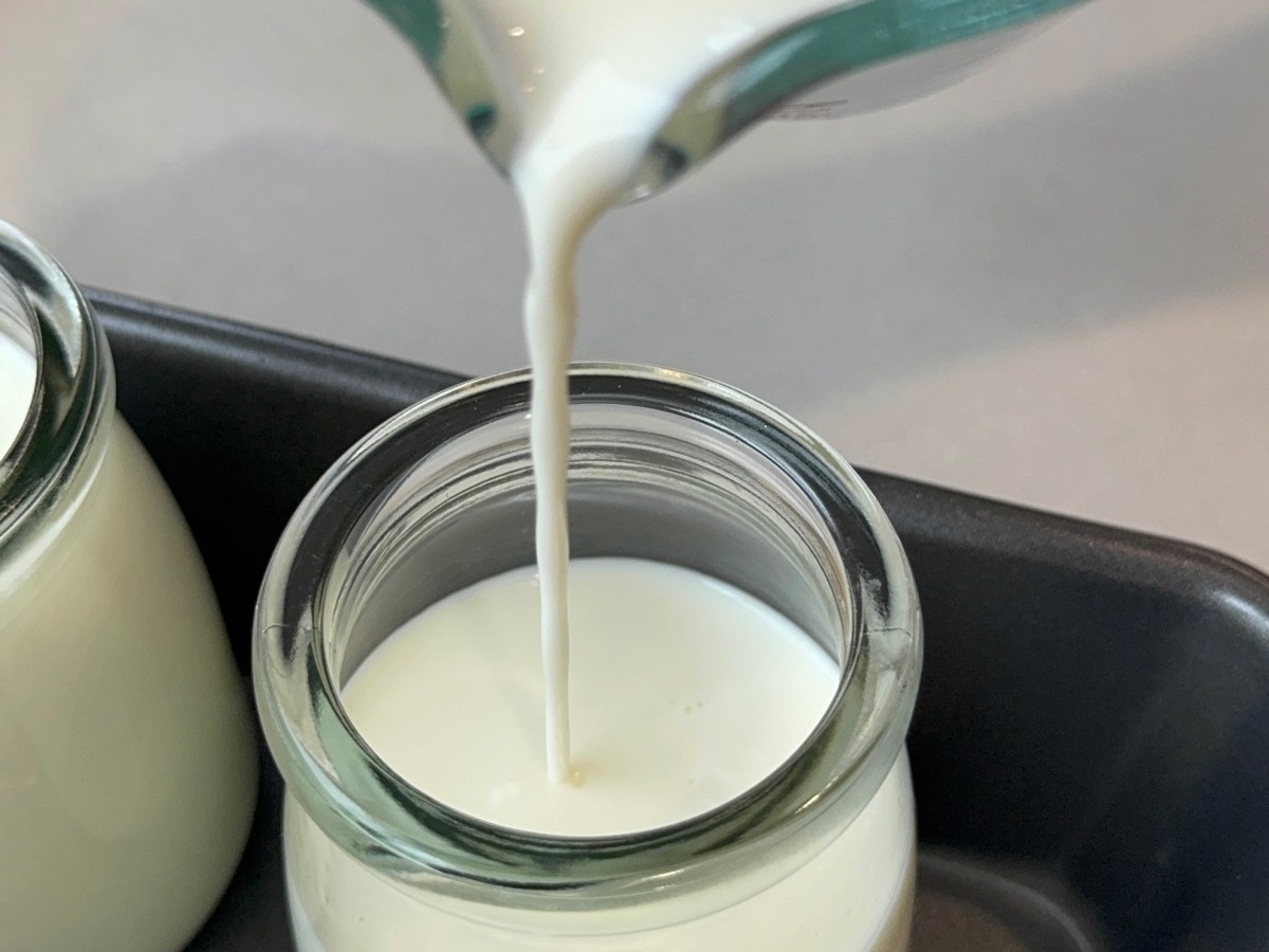 Da Ua (Vietnamese&nbsp;yogurt)